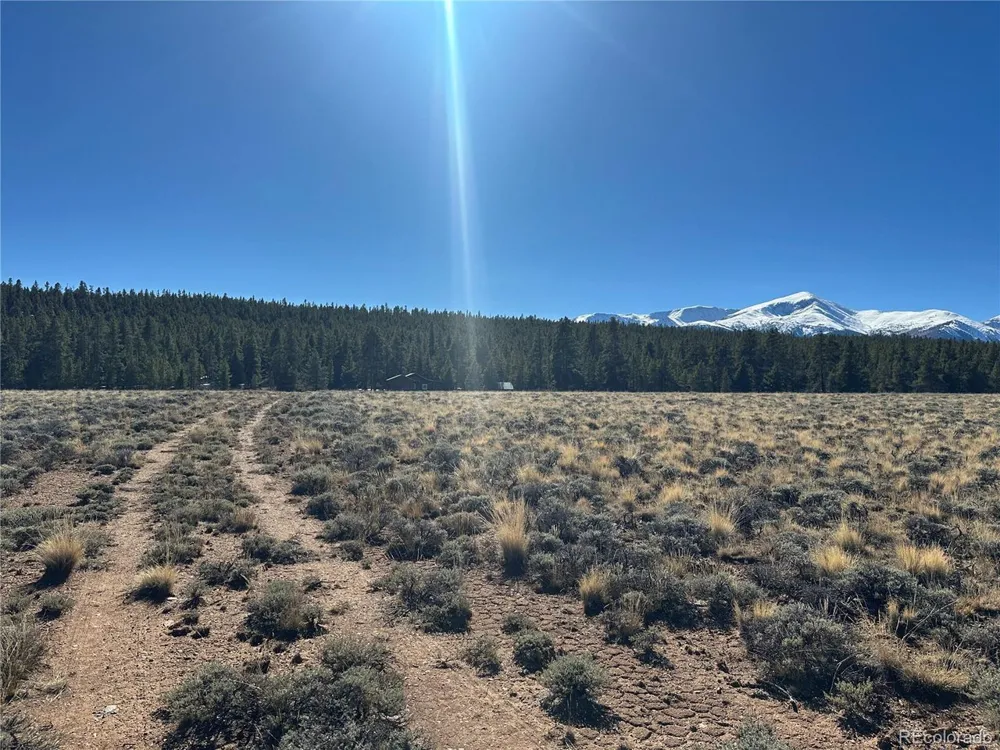 15 County Road 10 Leadville, CO 80461