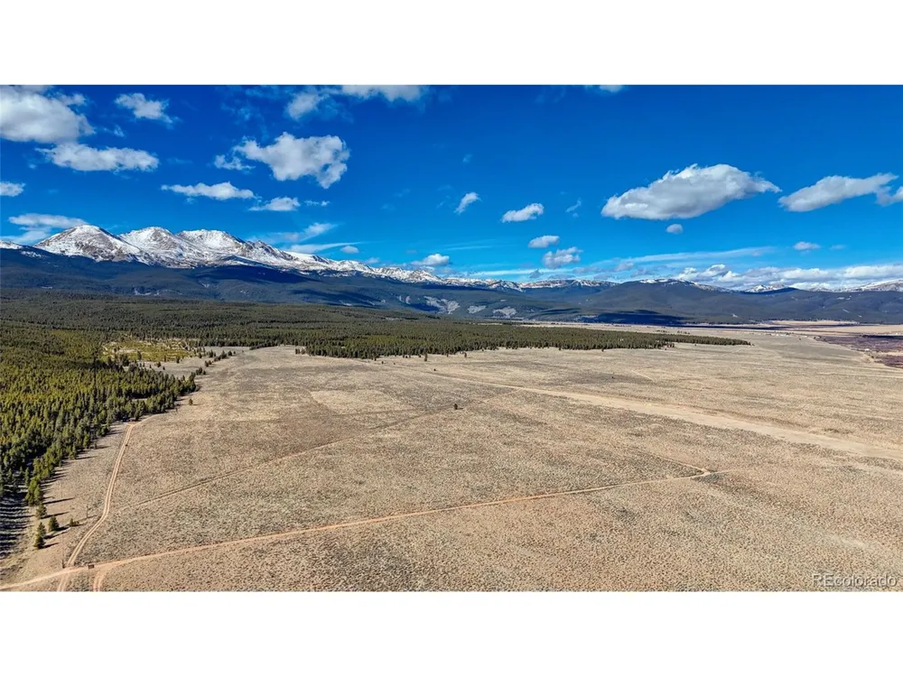 15 County Road 10 Leadville, CO 80461