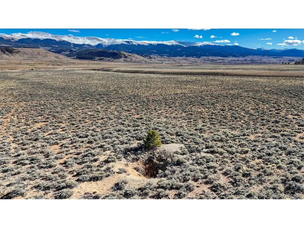 15 County Road 10 Leadville, CO 80461