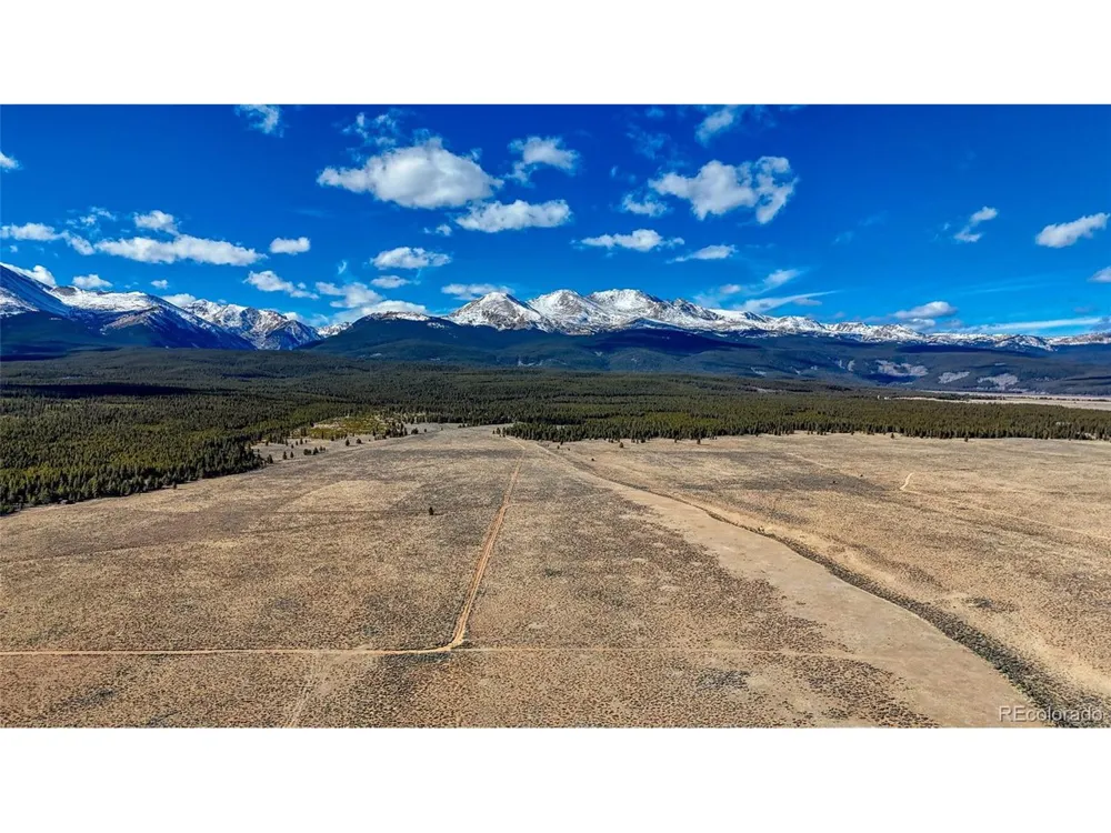 15 County Road 10 Leadville, CO 80461