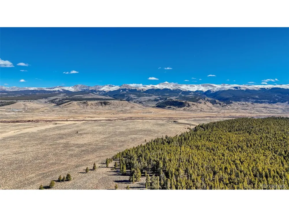 15 County Road 10 Leadville, CO 80461