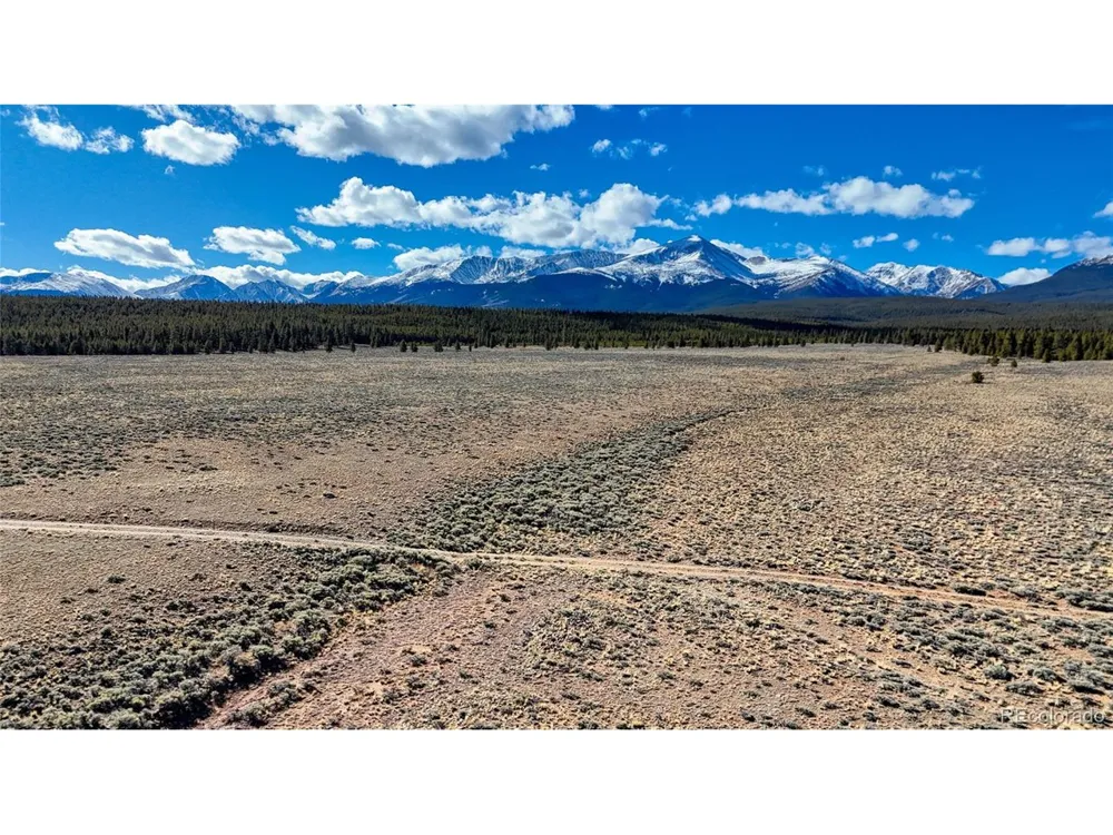 15 County Road 10 Leadville, CO 80461