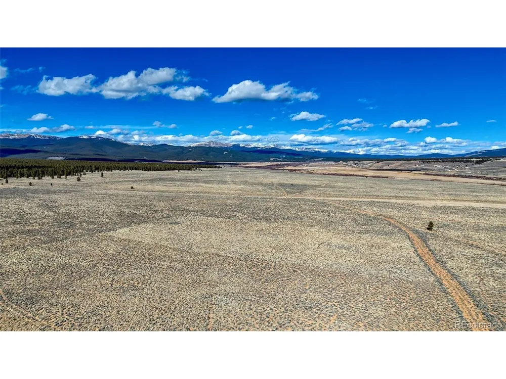 15 County Road 10 Leadville, CO 80461