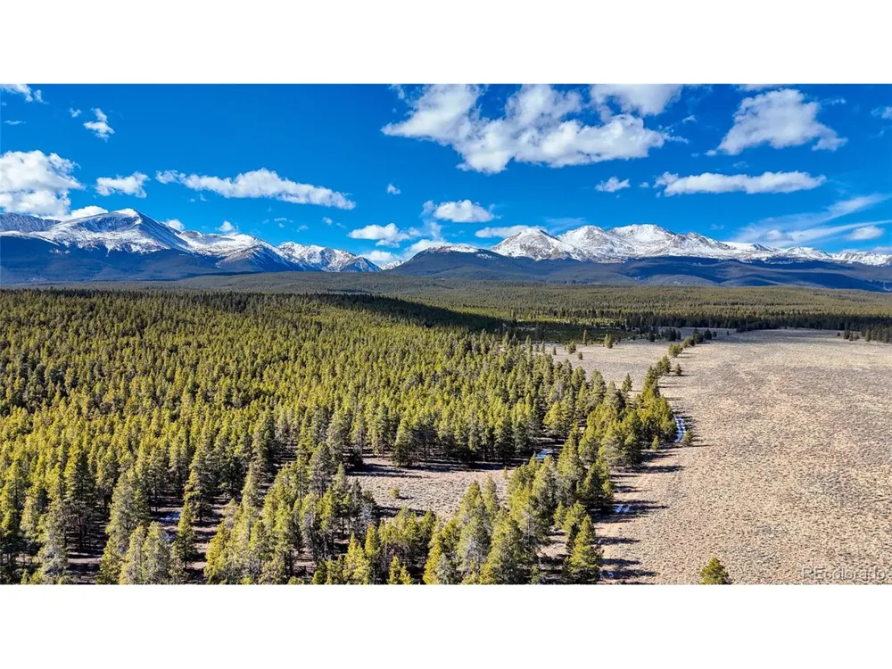 15 County Road 10 Leadville, CO 80461