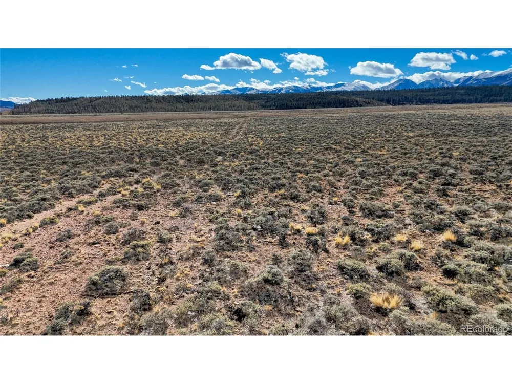 15 County Road 10 Leadville, CO 80461