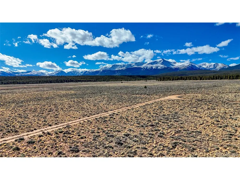 15 County Road 10 Leadville, CO 80461