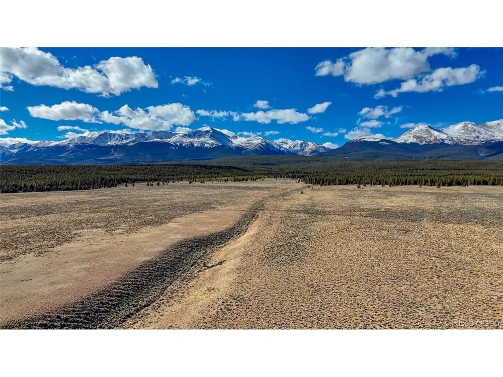 15 County Road 10 Leadville, CO 80461