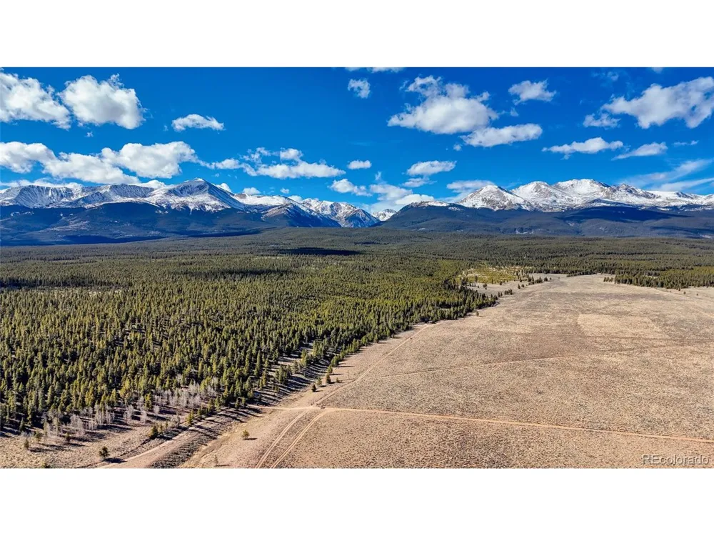15 County Road 10 Leadville, CO 80461