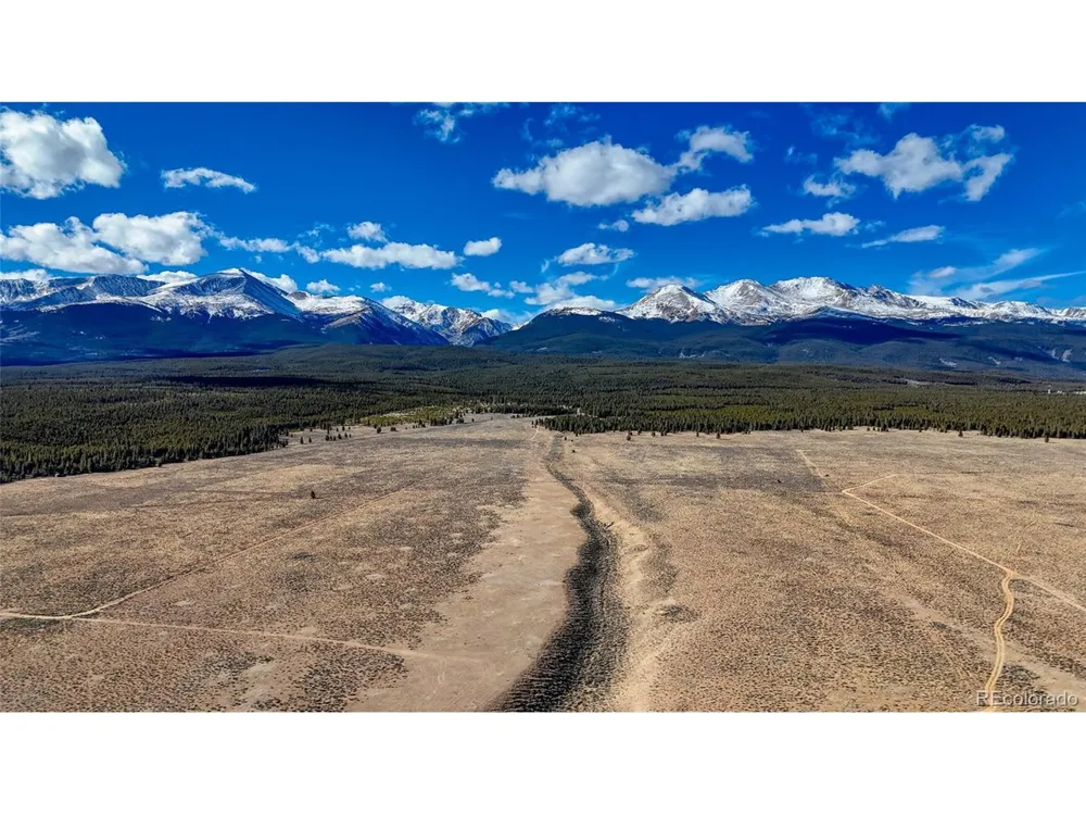 15 County Road 10 Leadville, CO 80461