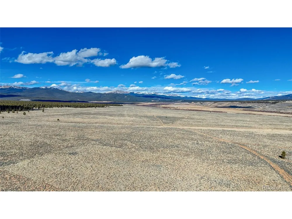 15 County Road 10 Leadville, CO 80461