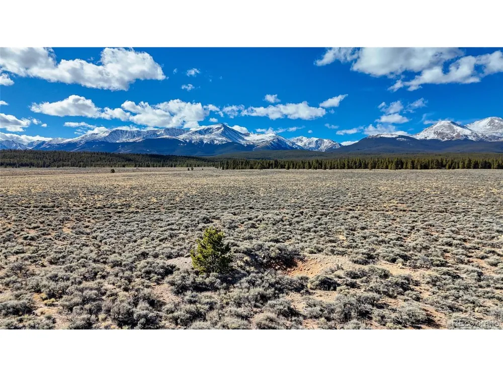 15 County Road 10 Leadville, CO 80461