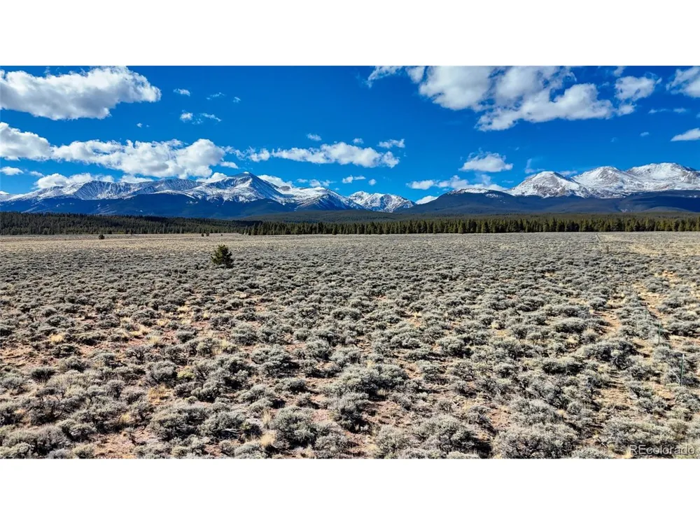 15 County Road 10 Leadville, CO 80461
