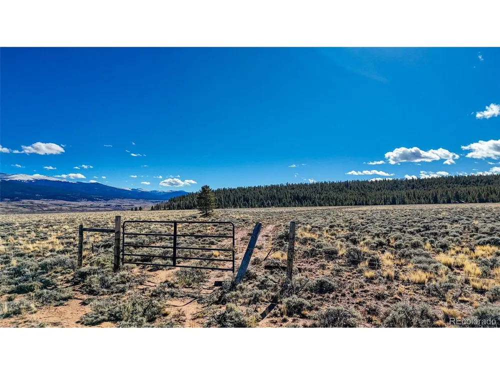 15 County Road 10 Leadville, CO 80461