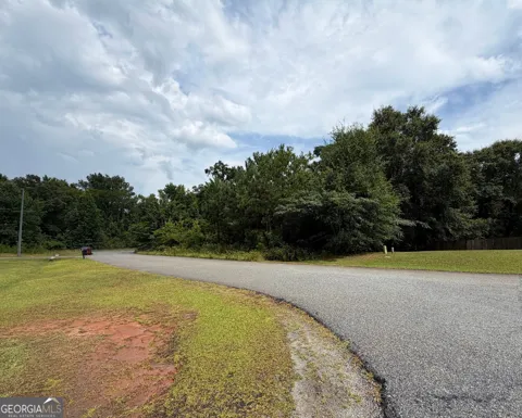 317 Hawk CT