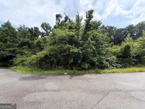 319 Hawk CT