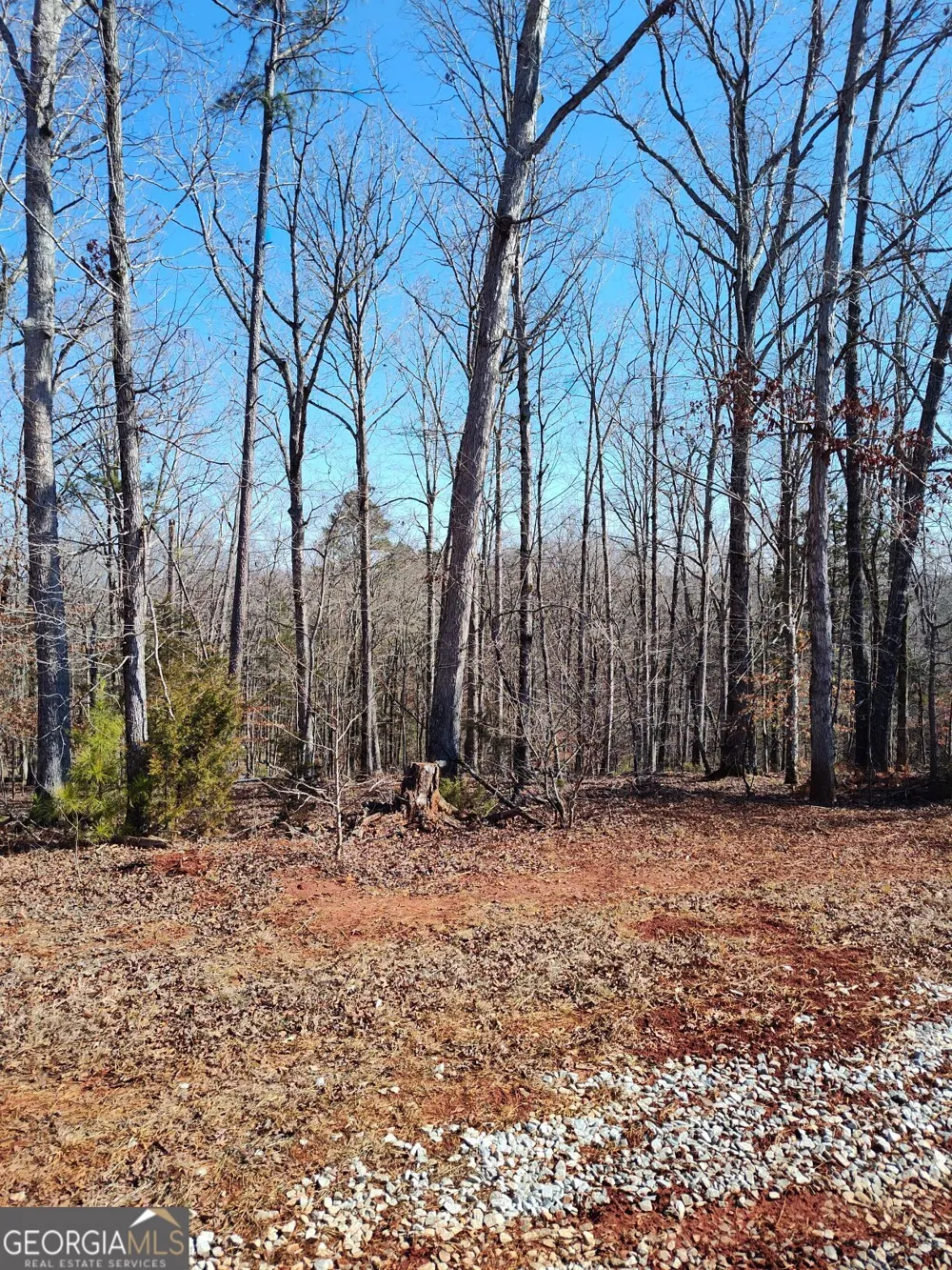 1798 Pearl Mill RD Elberton, GA 30635