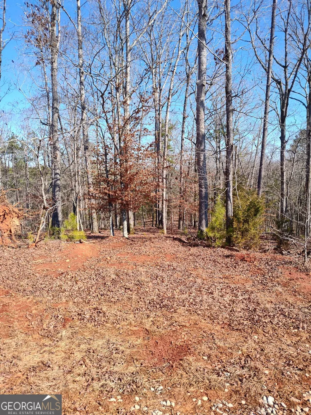 1798 Pearl Mill RD Elberton, GA 30635