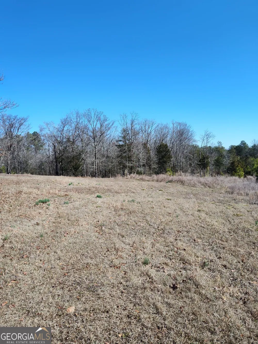 1798 Pearl Mill RD Elberton, GA 30635