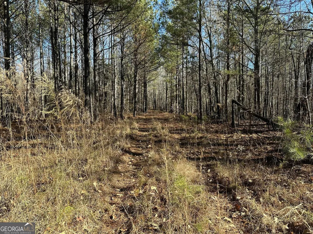 0 Budapest SPUR Tallapoosa, GA 30176