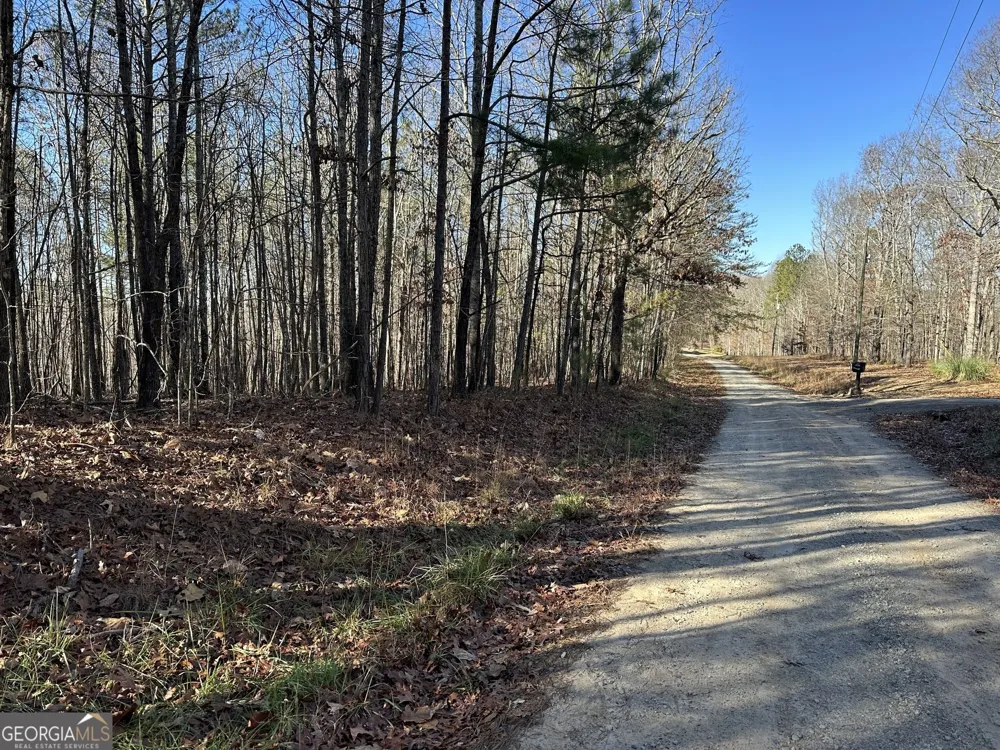 0 Budapest SPUR Tallapoosa, GA 30176