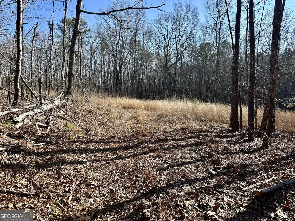 0 Budapest SPUR Tallapoosa, GA 30176