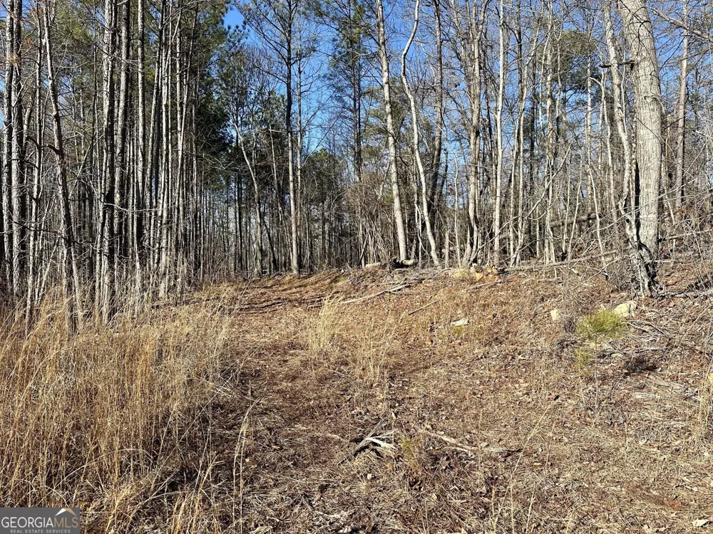 0 Budapest SPUR Tallapoosa, GA 30176