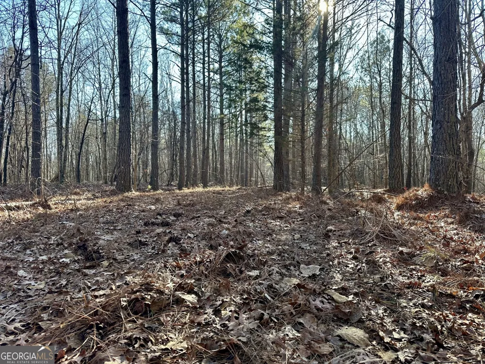 0 Budapest SPUR Tallapoosa, GA 30176