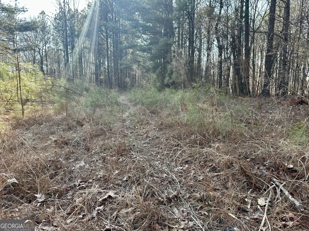 0 Budapest SPUR Tallapoosa, GA 30176