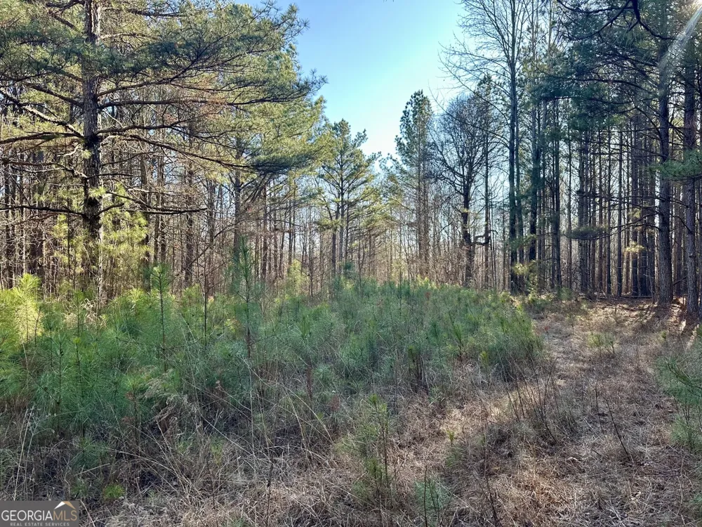 0 Budapest SPUR Tallapoosa, GA 30176