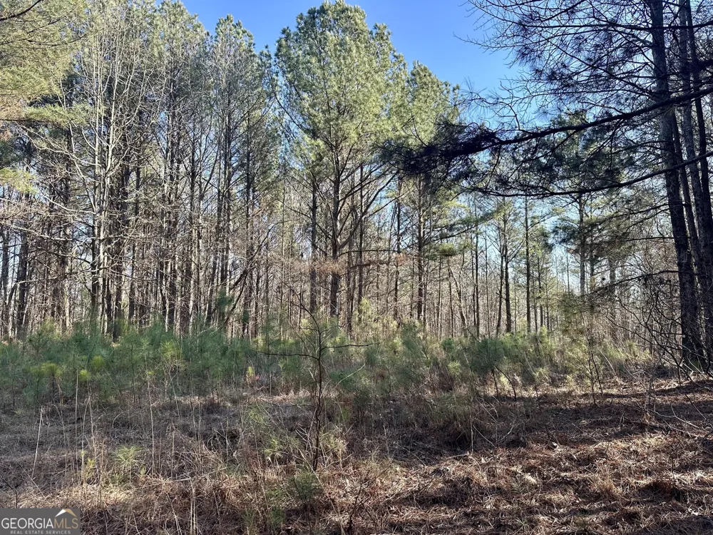 0 Budapest SPUR Tallapoosa, GA 30176