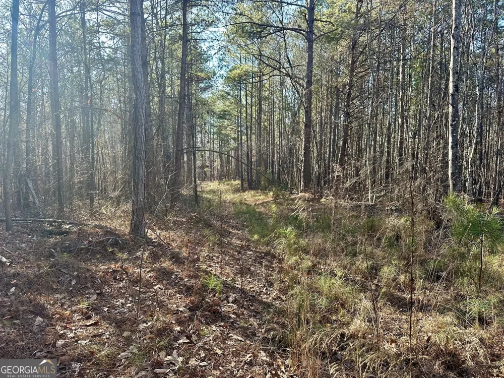 0 Budapest SPUR Tallapoosa, GA 30176