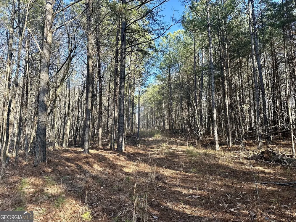 0 Budapest SPUR Tallapoosa, GA 30176
