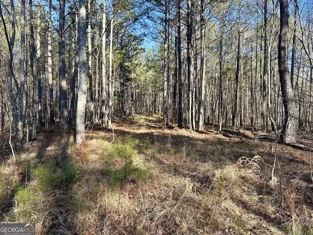 0 Budapest SPUR Tallapoosa, GA 30176