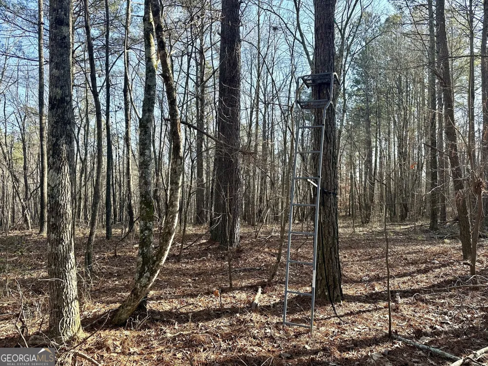 0 Budapest SPUR Tallapoosa, GA 30176