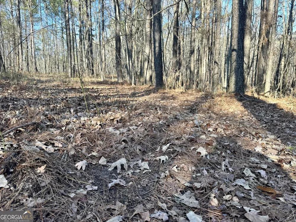 0 Budapest SPUR Tallapoosa, GA 30176