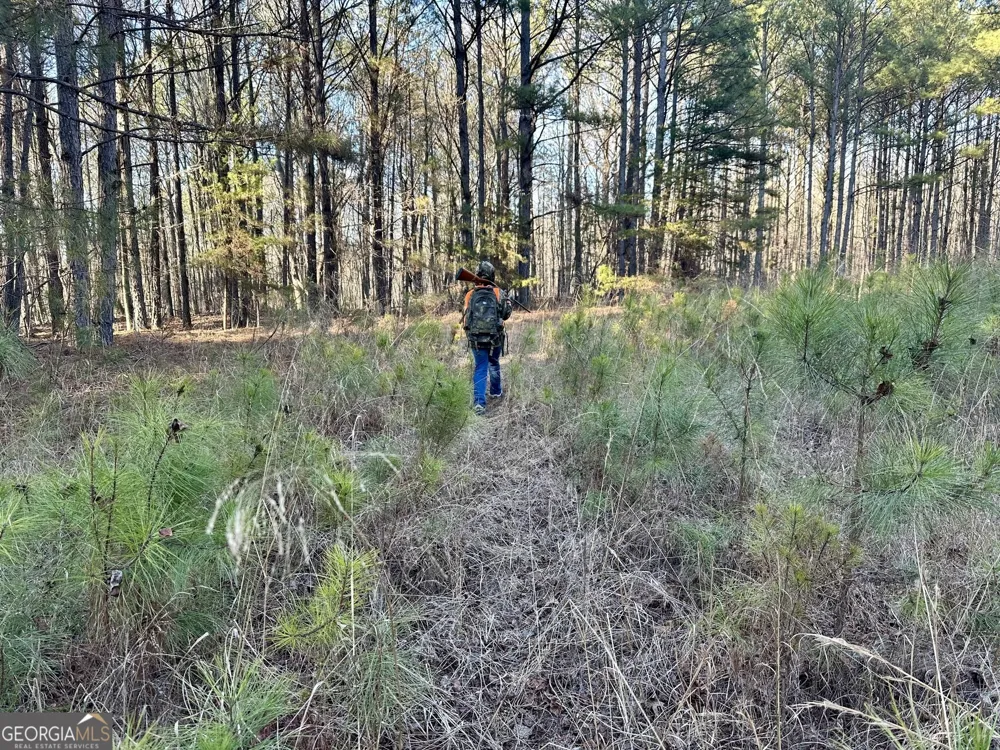 0 Budapest SPUR Tallapoosa, GA 30176