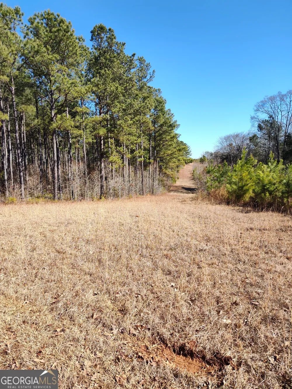 1862 Pearl Mill RD Elberton, GA 30635