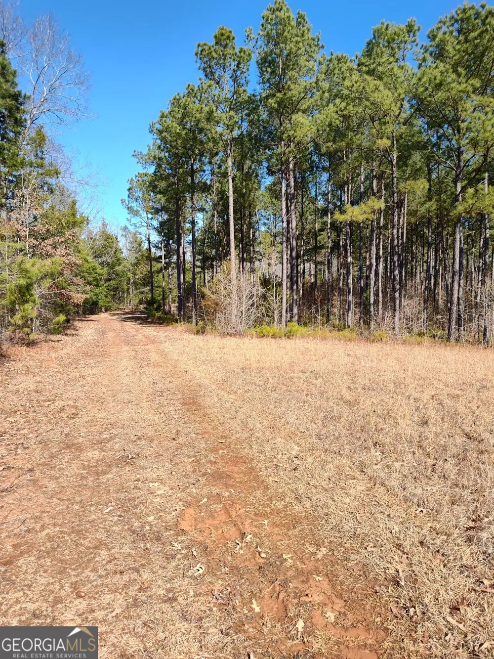 1862 Pearl Mill RD Elberton, GA 30635