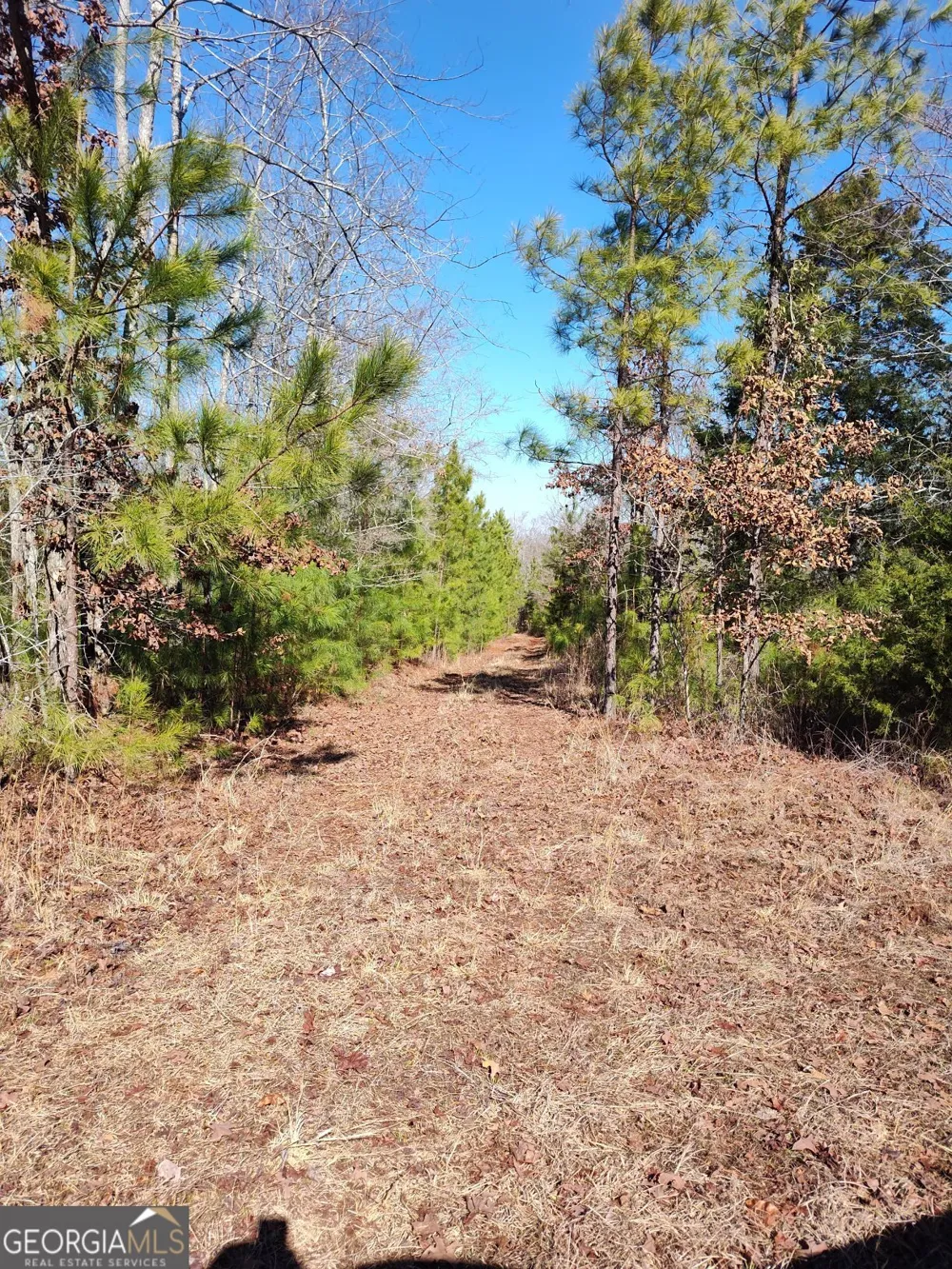 1862 Pearl Mill RD Elberton, GA 30635