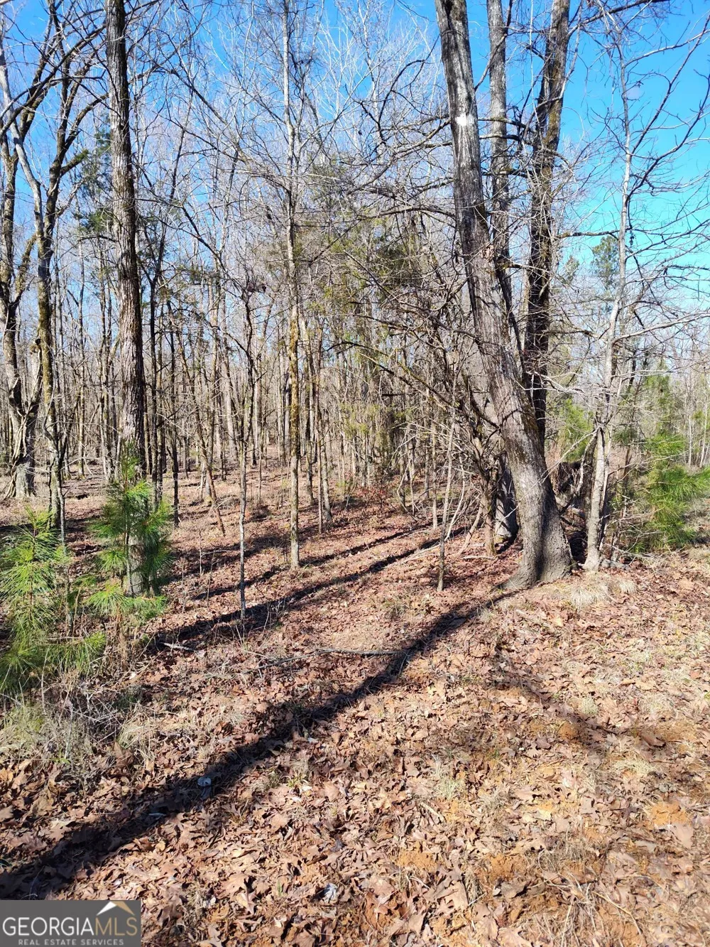 1862 Pearl Mill RD Elberton, GA 30635