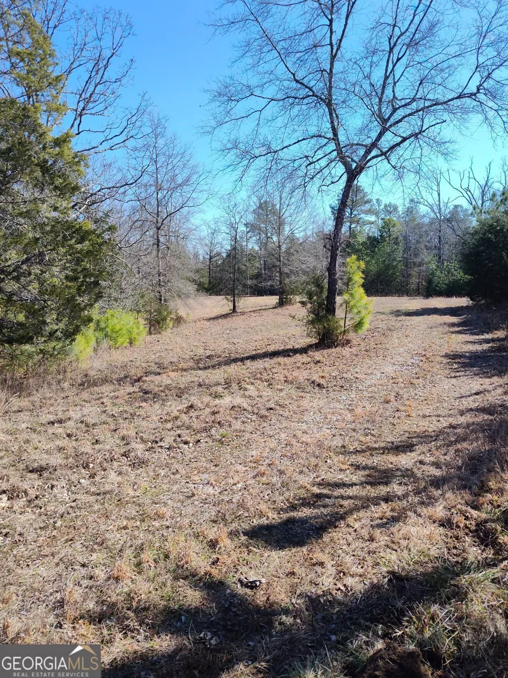 1862 Pearl Mill RD Elberton, GA 30635