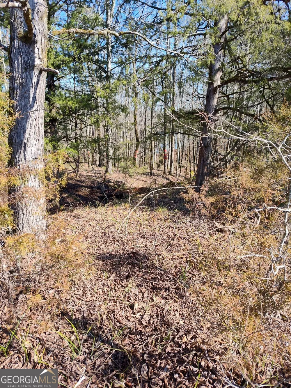 1862 Pearl Mill RD Elberton, GA 30635