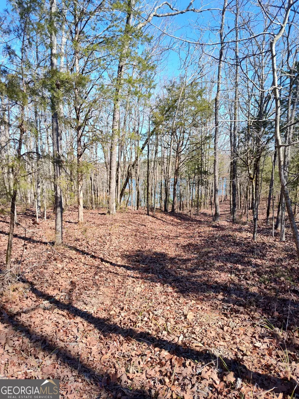 1862 Pearl Mill RD Elberton, GA 30635