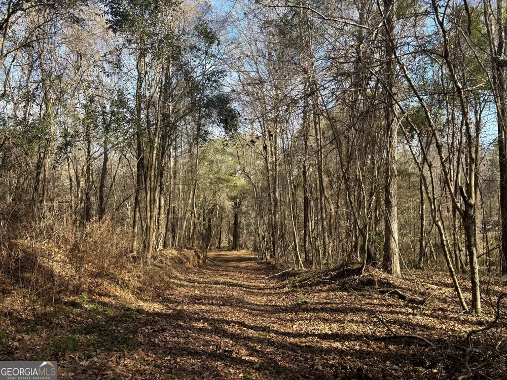 6411 Columbus RD Lizella, GA 31052