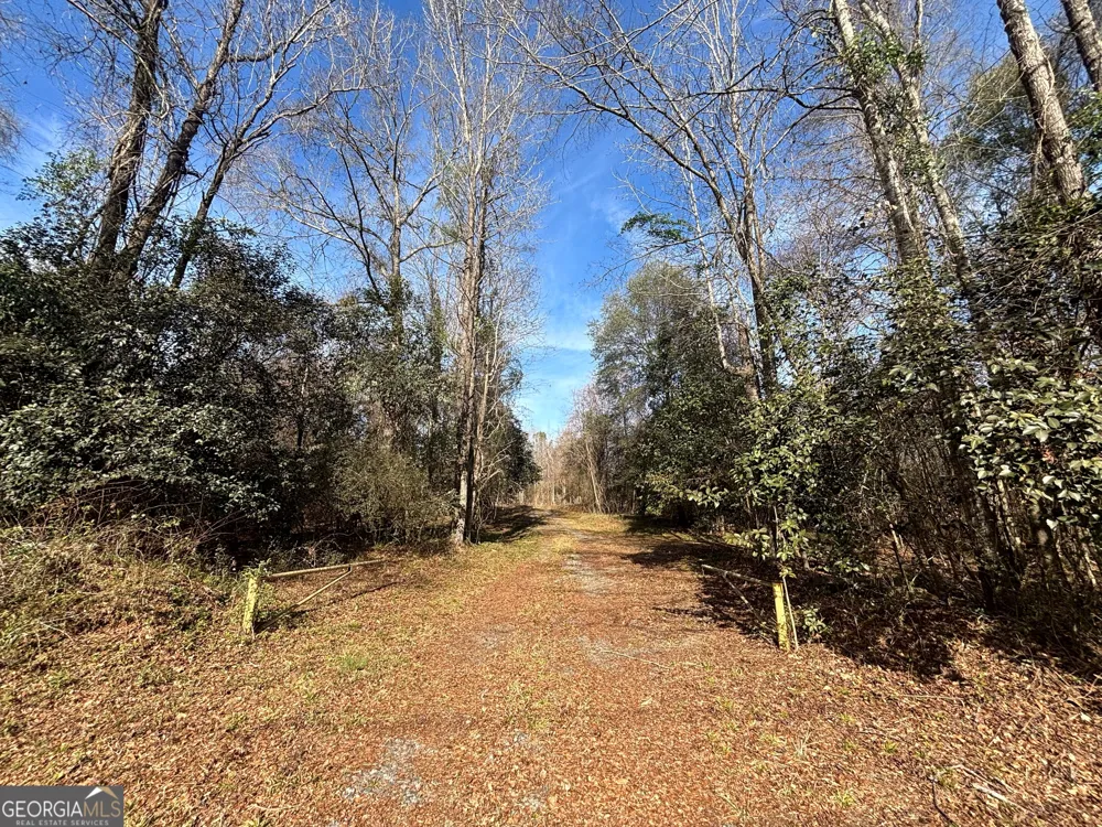6411 Columbus RD Lizella, GA 31052
