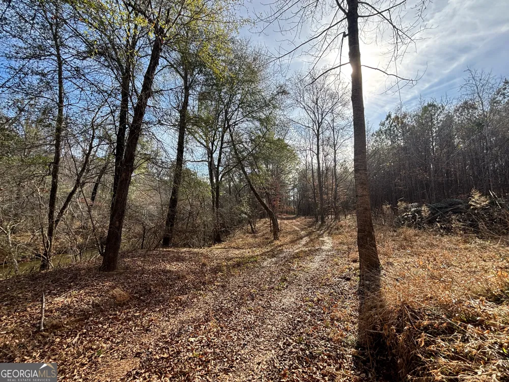 6411 Columbus RD Lizella, GA 31052