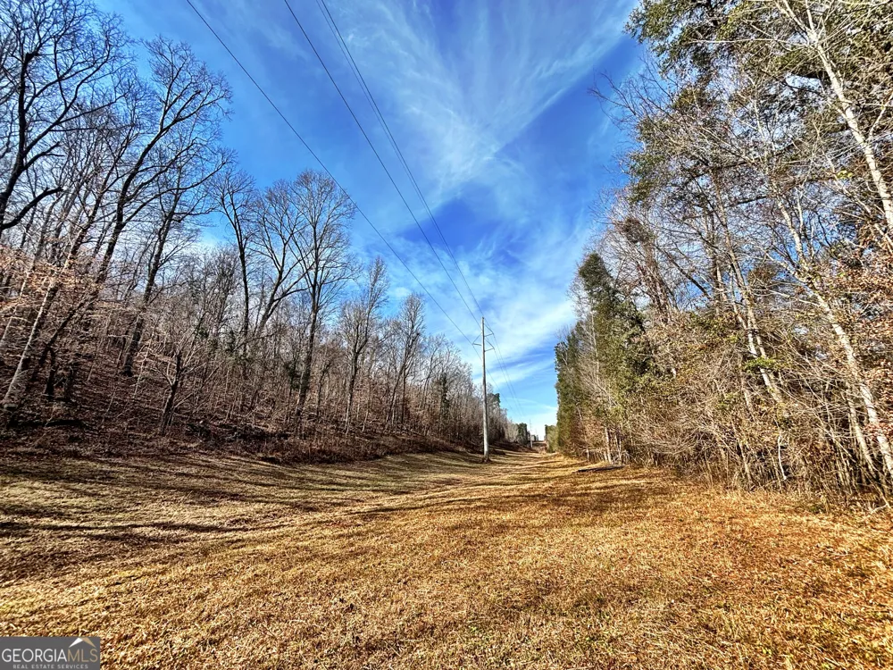 6411 Columbus RD Lizella, GA 31052