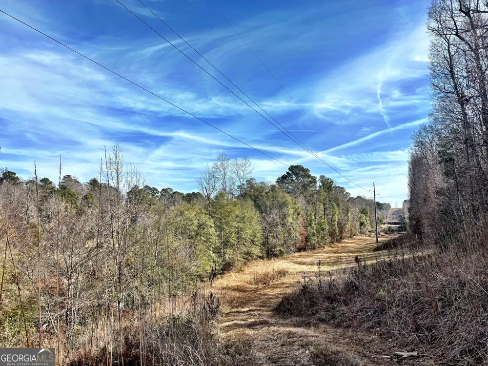 6411 Columbus RD Lizella, GA 31052