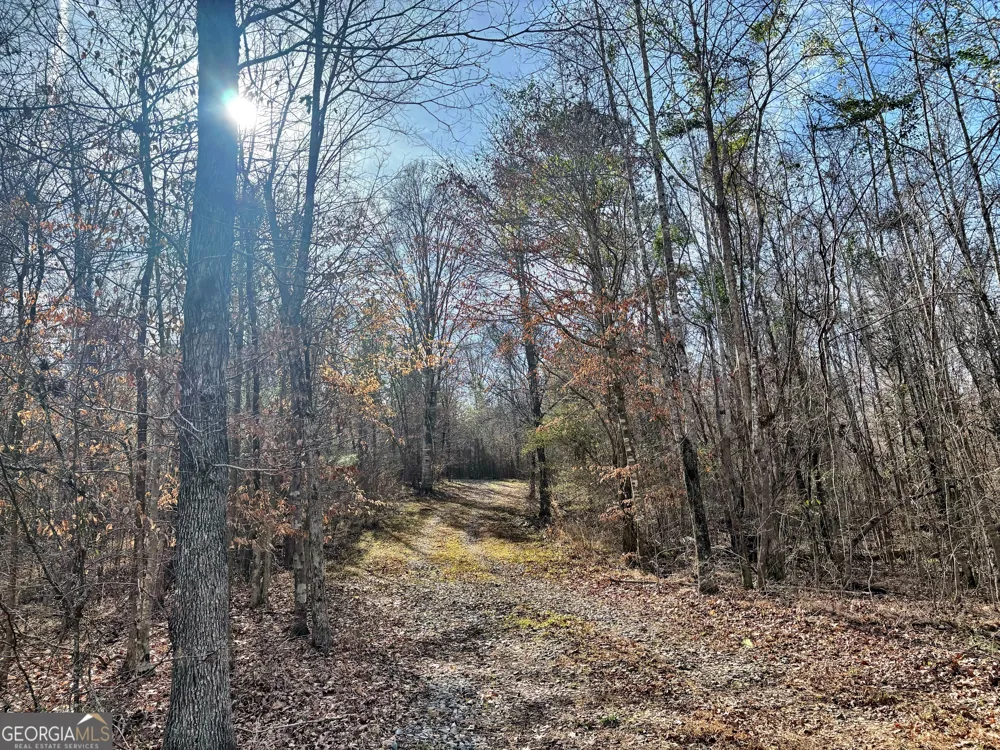 6411 Columbus RD Lizella, GA 31052