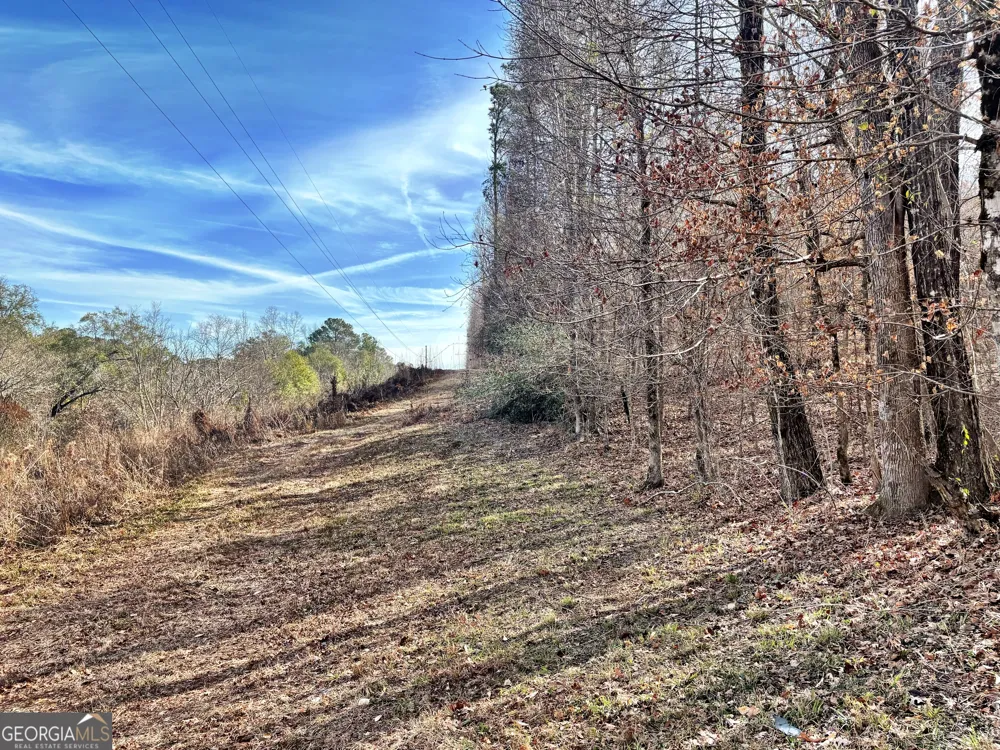 6411 Columbus RD Lizella, GA 31052